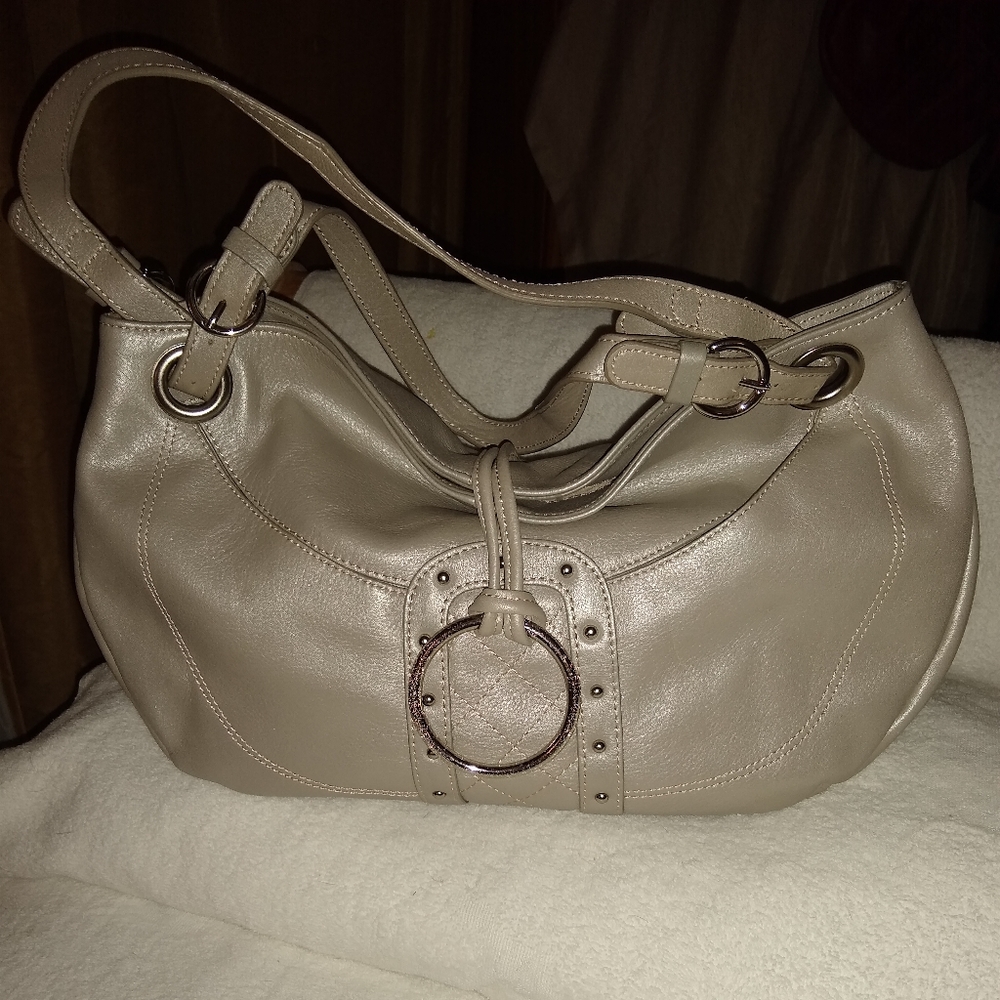Luce metallic leather shoulder bag.